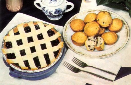 Garden Huckleberry: Fast Fruit in the First Season Image